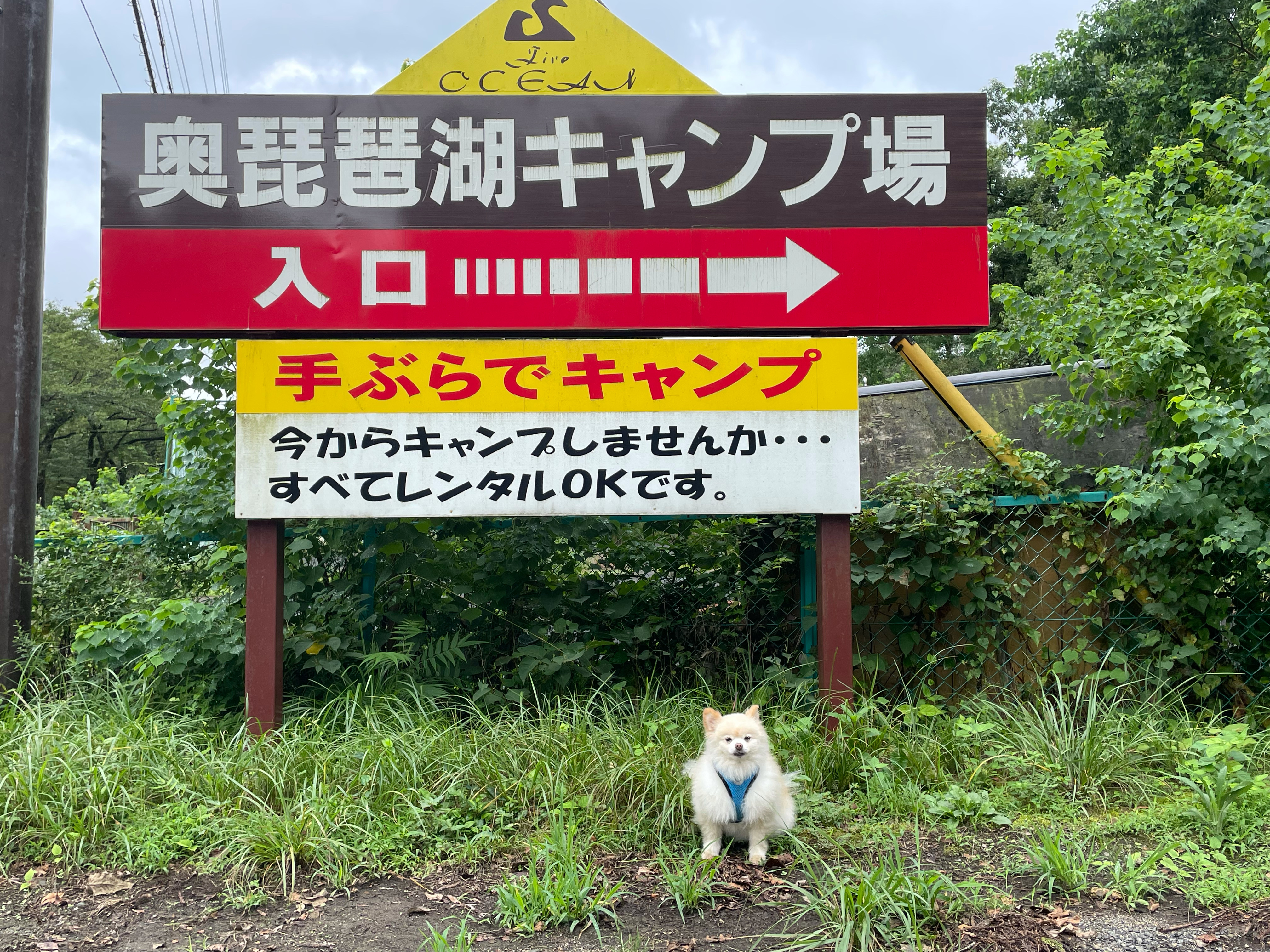 奥琵琶湖キャンプ場