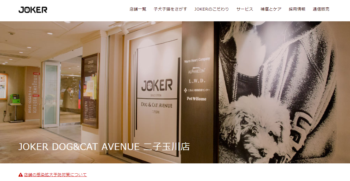 JOKER二子玉川店フラワーレメディ＆マッサージ教室azi