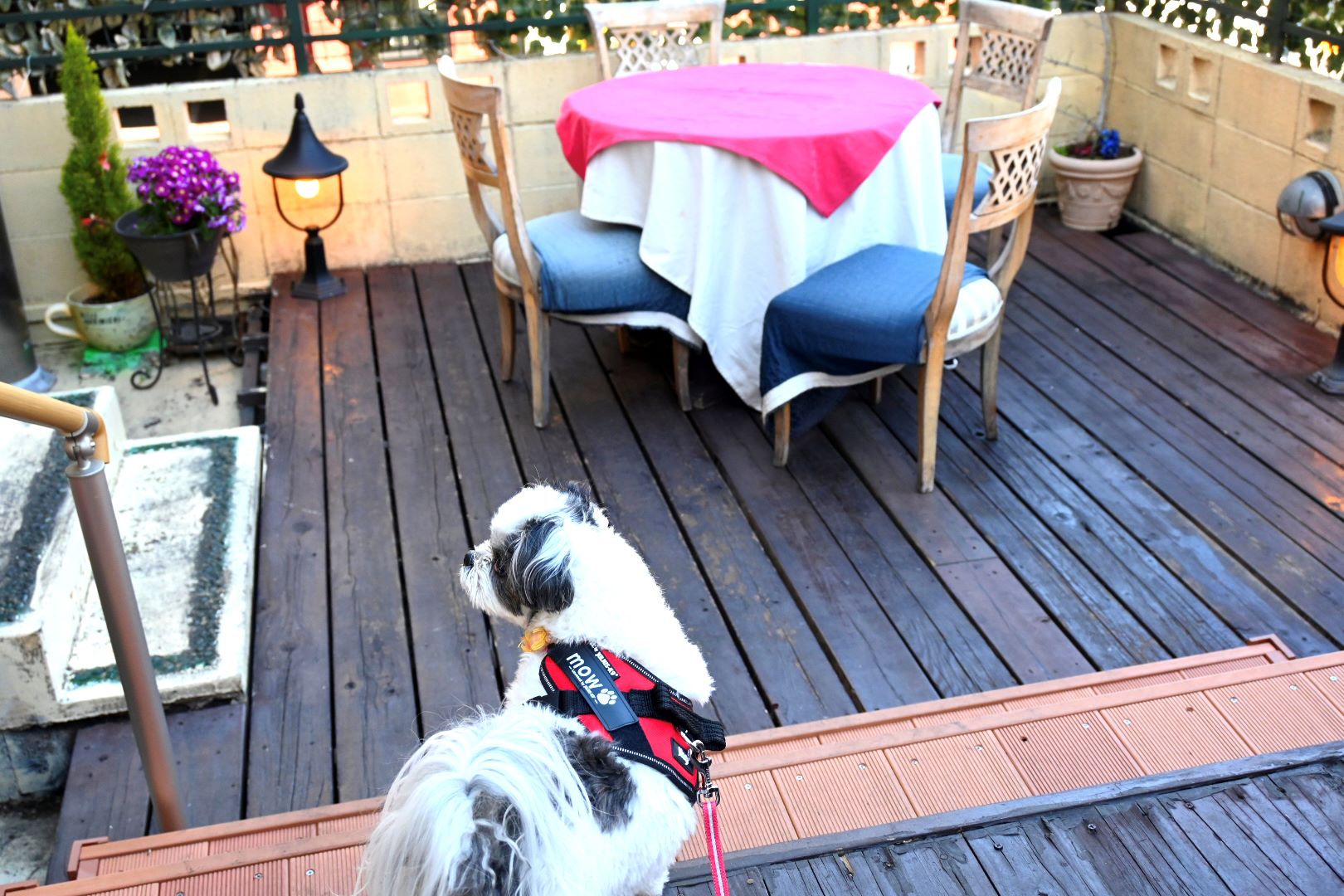Bouche\'s Cafe\'(ブーシーズ カフェ)