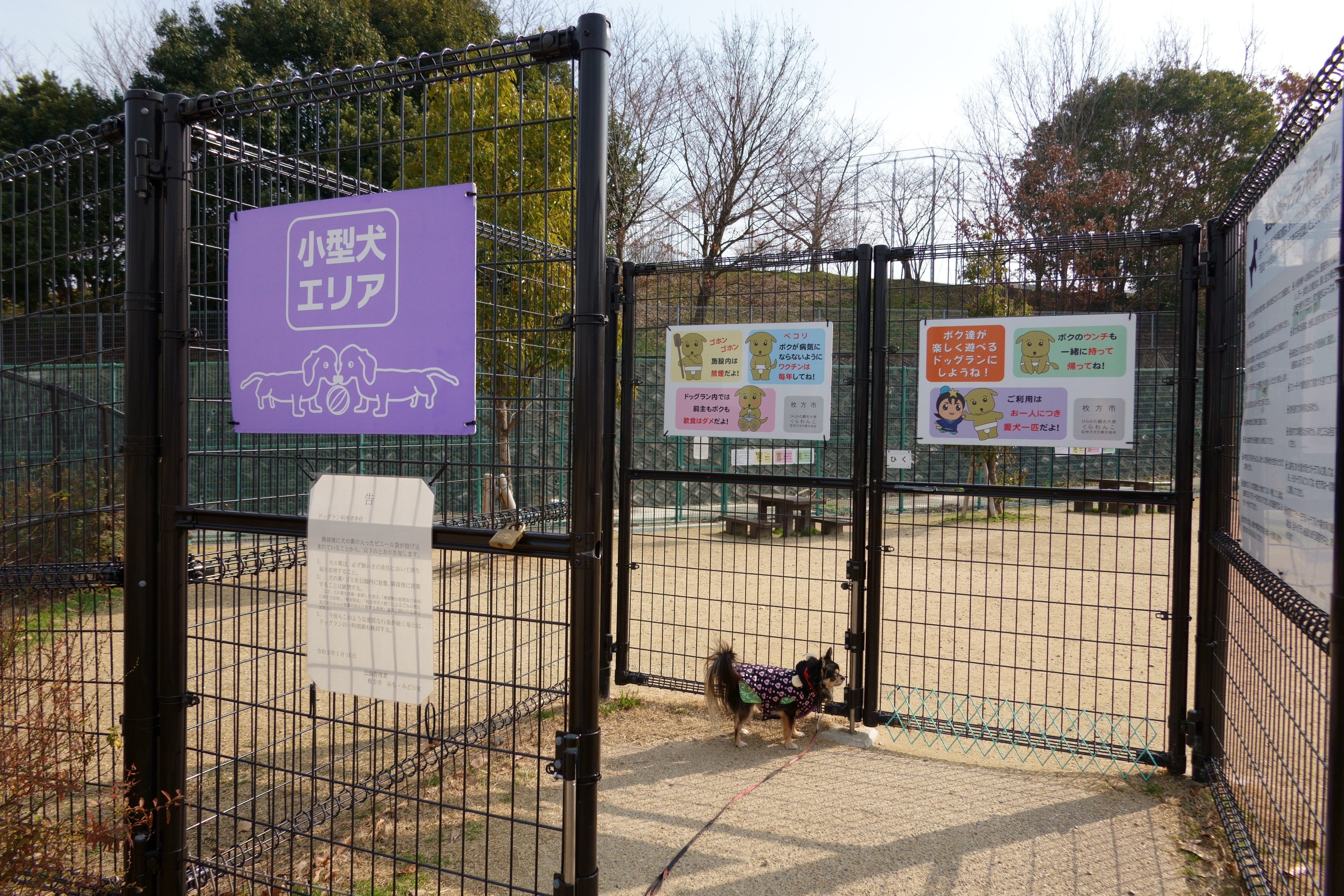 東部公園ドッグラン