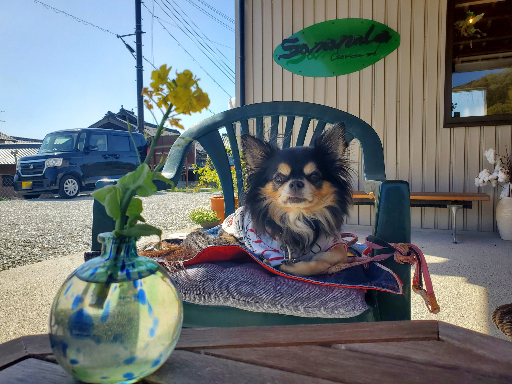 Cafe samanala garden(カフェ サマナラガーデン)