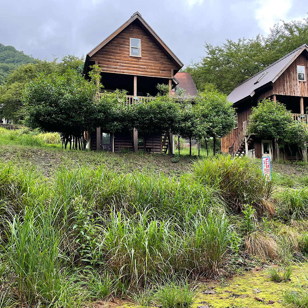 奥琵琶湖キャンプ場