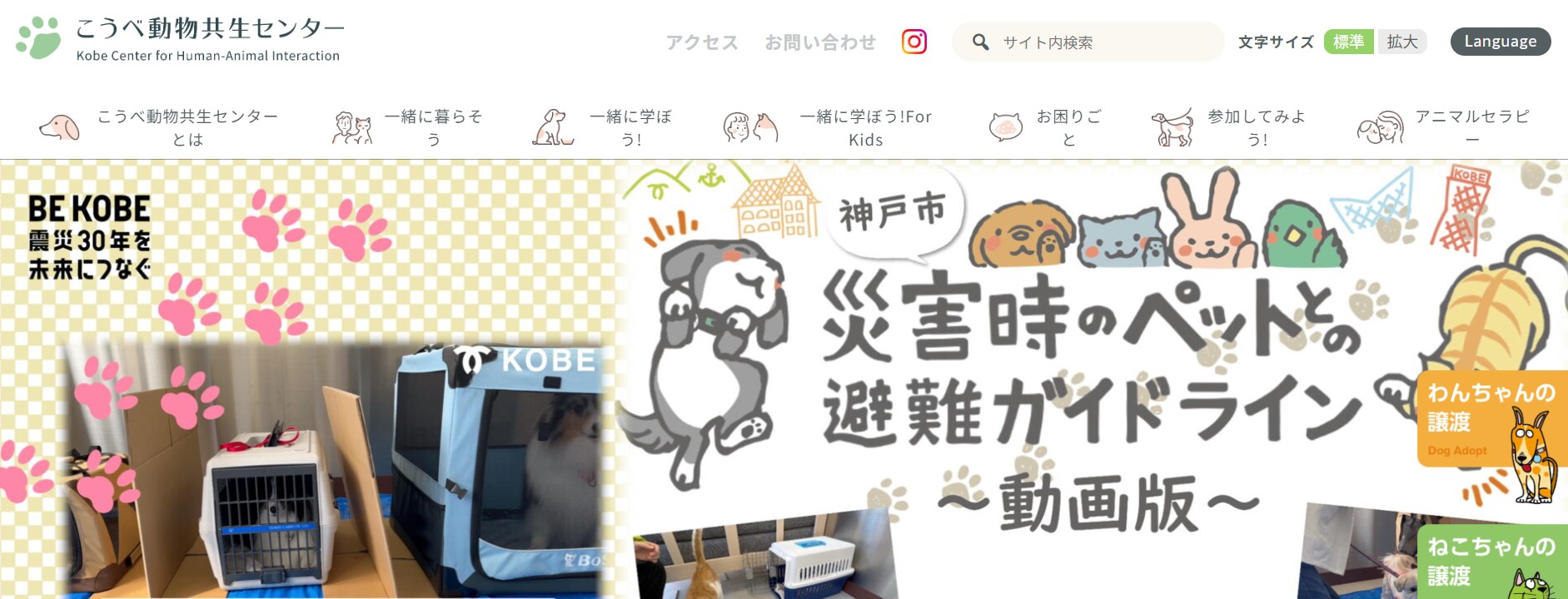 犬についてもっと知ろう