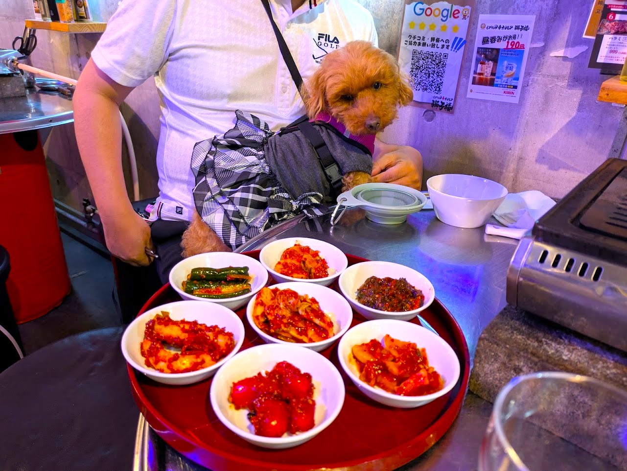 もみだれ焼肉  獅子楼
