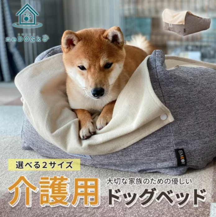 これイイね!ワンコの為の家具と家電10選【ペットと一緒編集部】