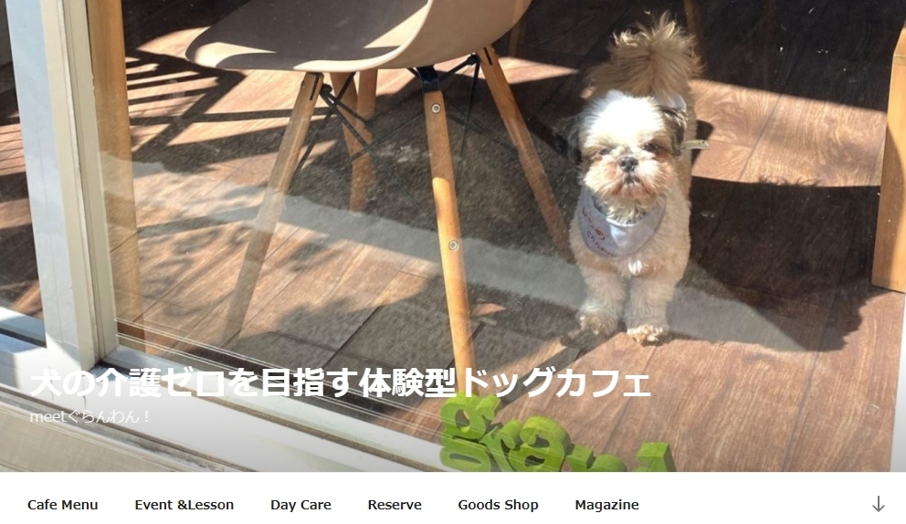 愛犬と減量作戦!運動と食事で痩せよう