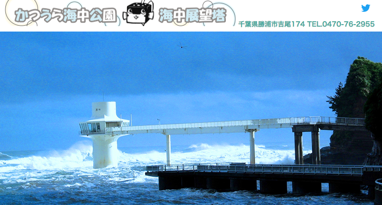 【千葉】水辺のお出かけスポットまとめ〜東日本編 Part 1〜