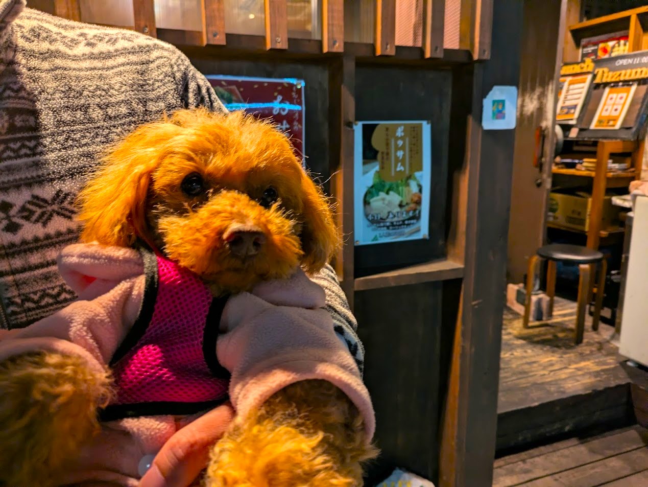 もんじゃつづみ