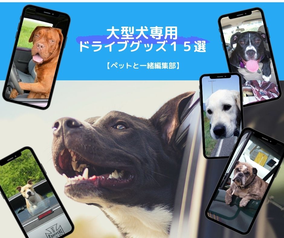 大型犬専用のドライブグッズ15選【ペットと一緒編集部】
