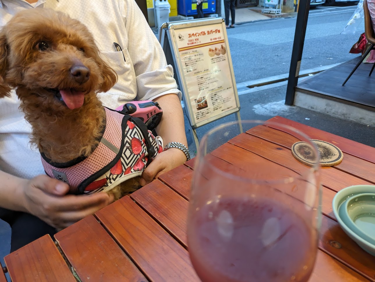 鶴橋スペインバル カバージョ