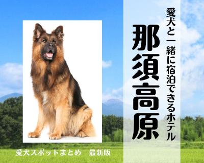 【最新版】那須高原｜愛犬と一緒に宿泊できるホテル