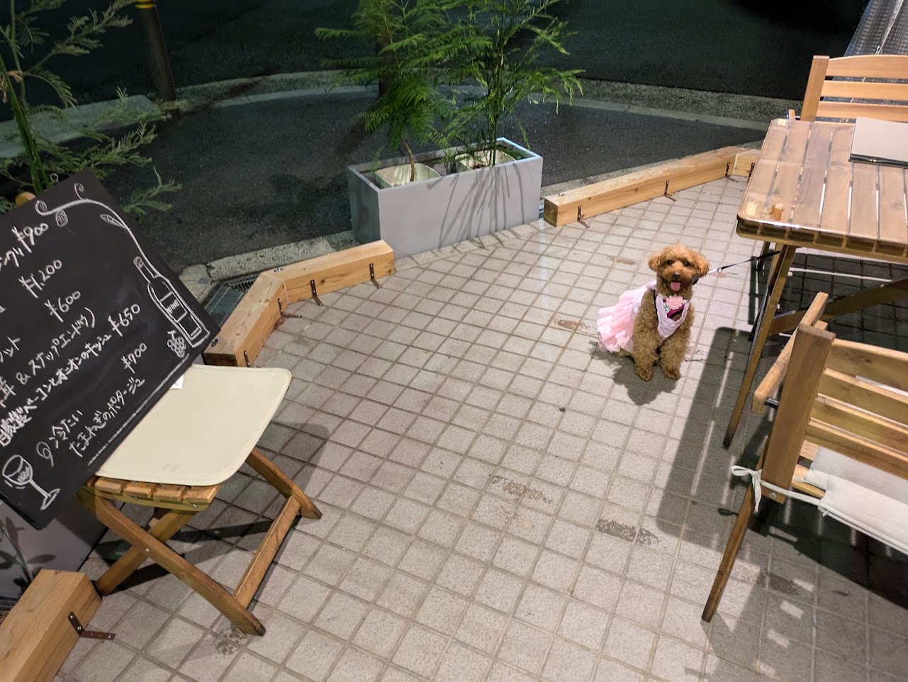 ビストロスリール