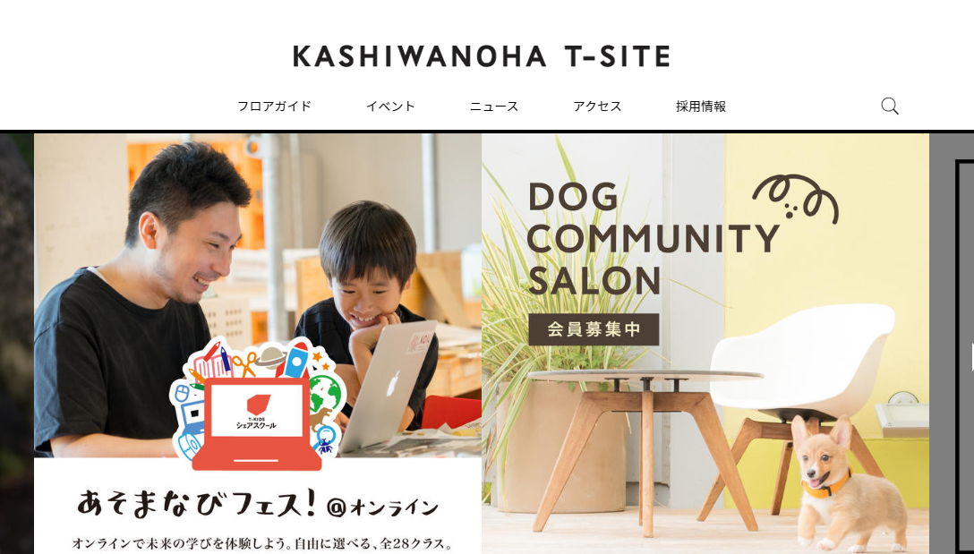 「テリントンTタッチ」~ボディラップで愛犬の心と身体を調えよう!~