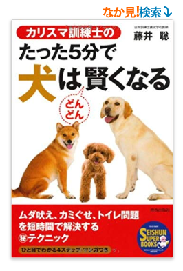 犬のしつけグッズ