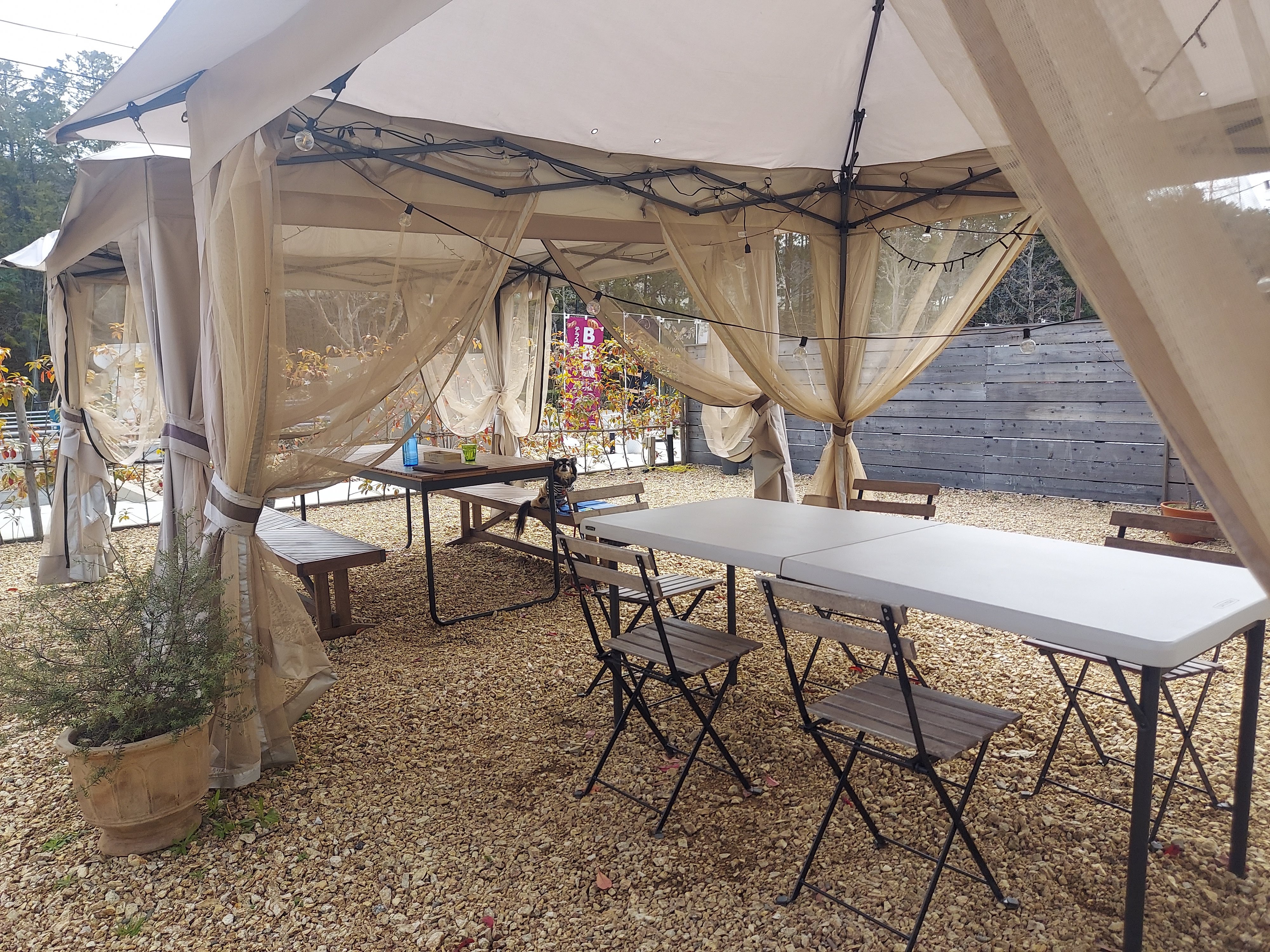 Cave des ARTIVEURS(キャーヴ・デ・ザルティバー)