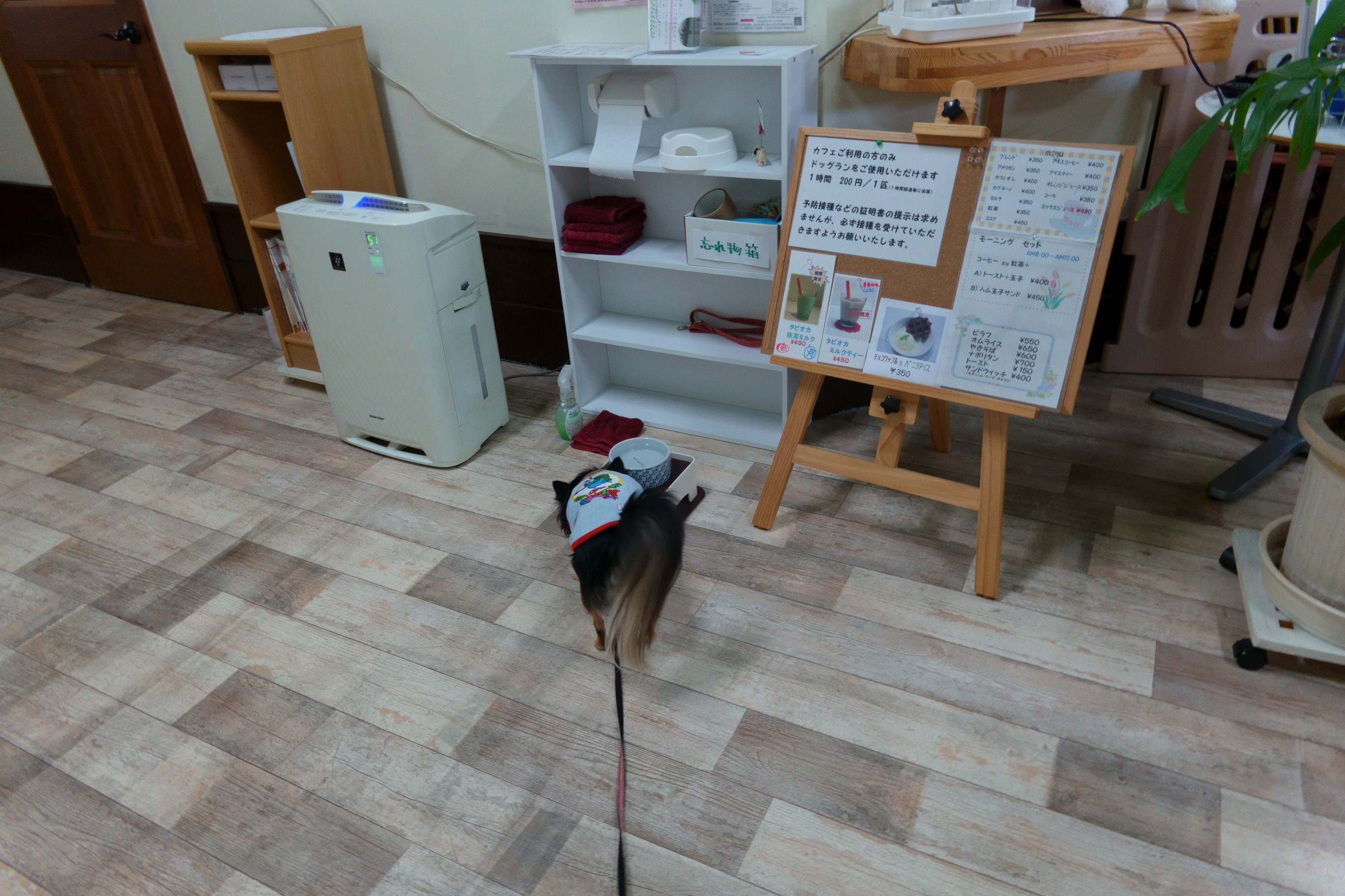 MOMOcafe(モモカフェ)