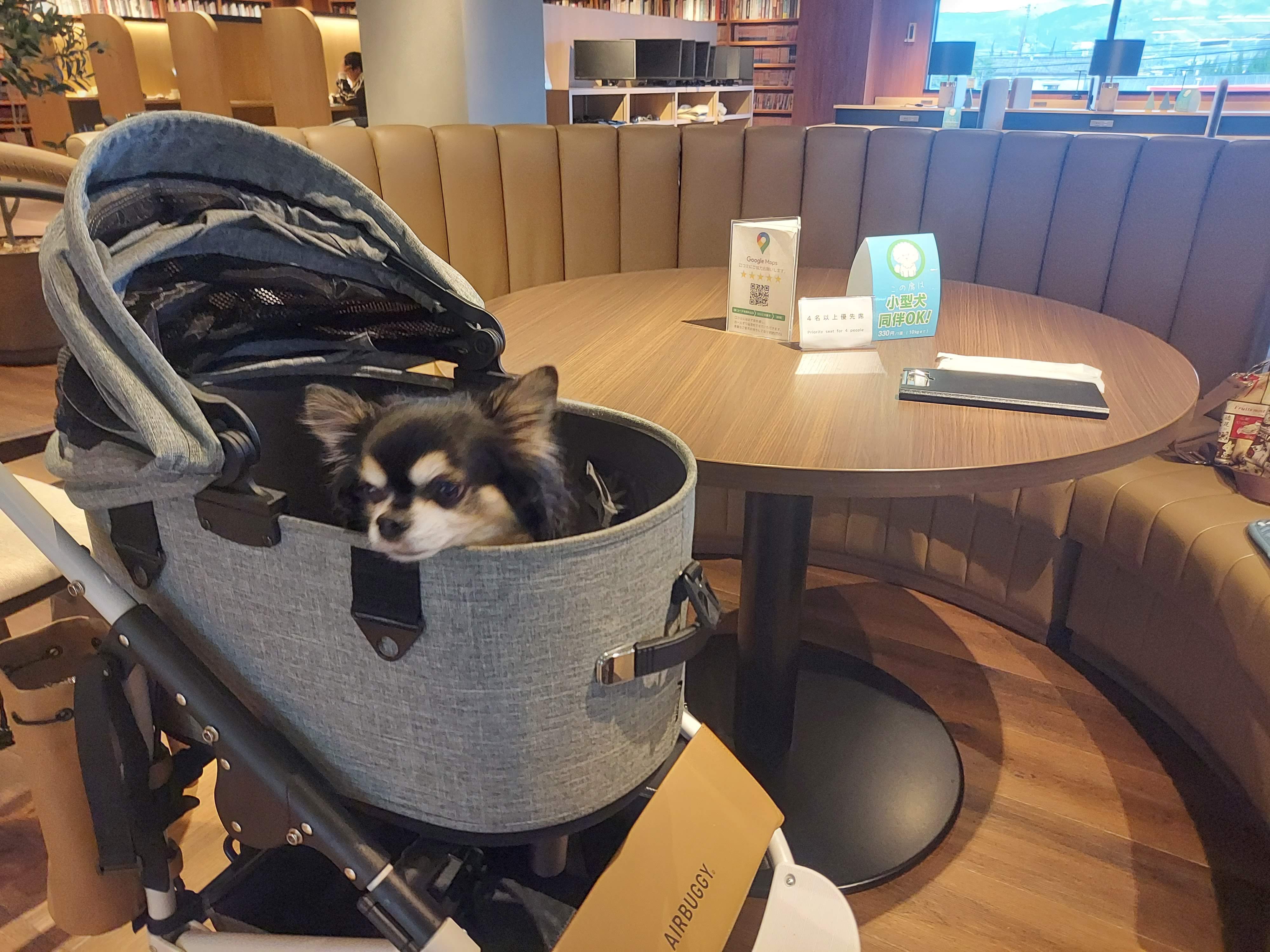 TODOROKI Cafe+（トドロキカフェ プラス）