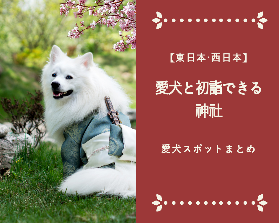 【東日本・西日本】〜愛犬と初詣できる神社〜まとめ