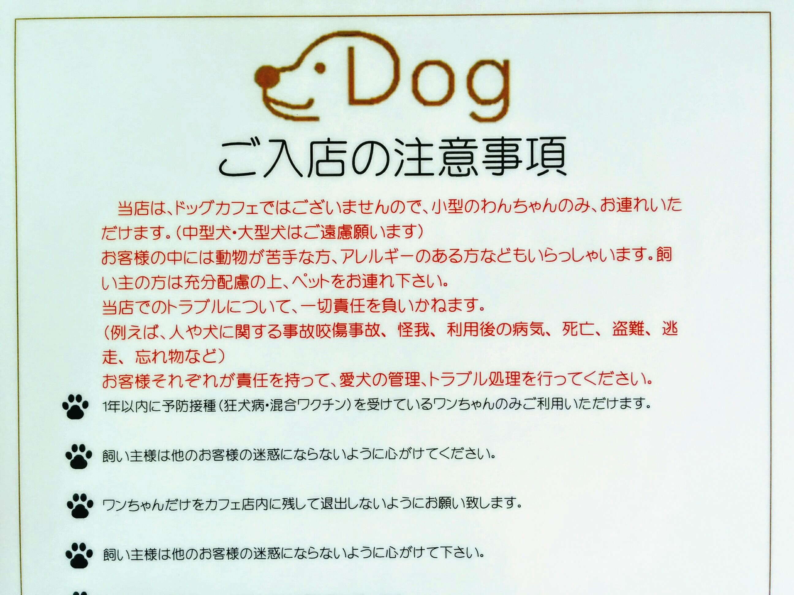 リアル