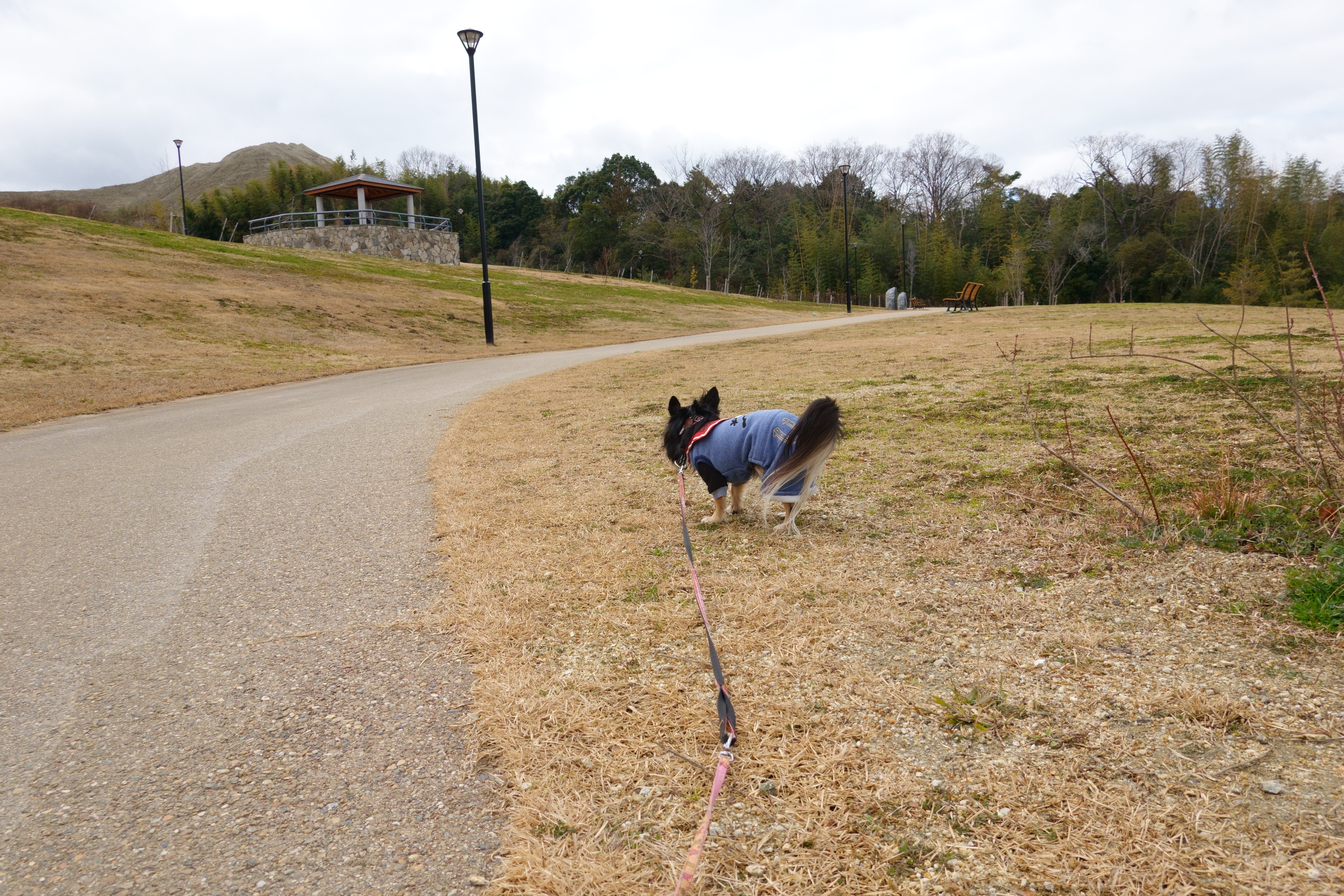 東部公園ドッグラン