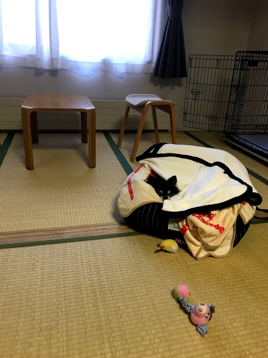 ペット&スパホテル那須ワン