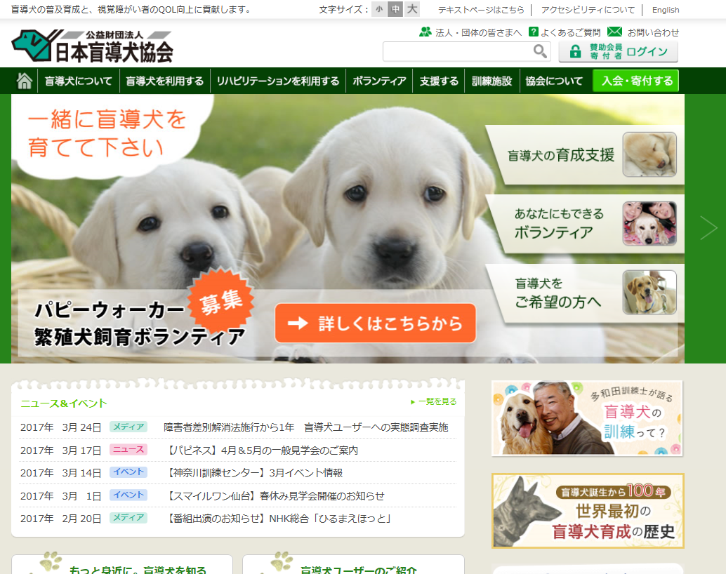 パピーウォーカー大募集・日本盲導犬協会