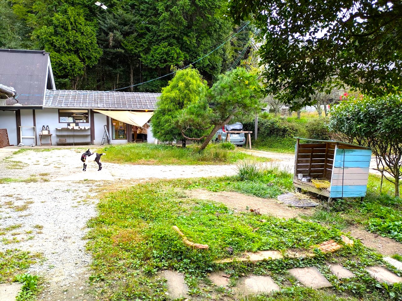 やさい菓子工房ココアイ大和高原店