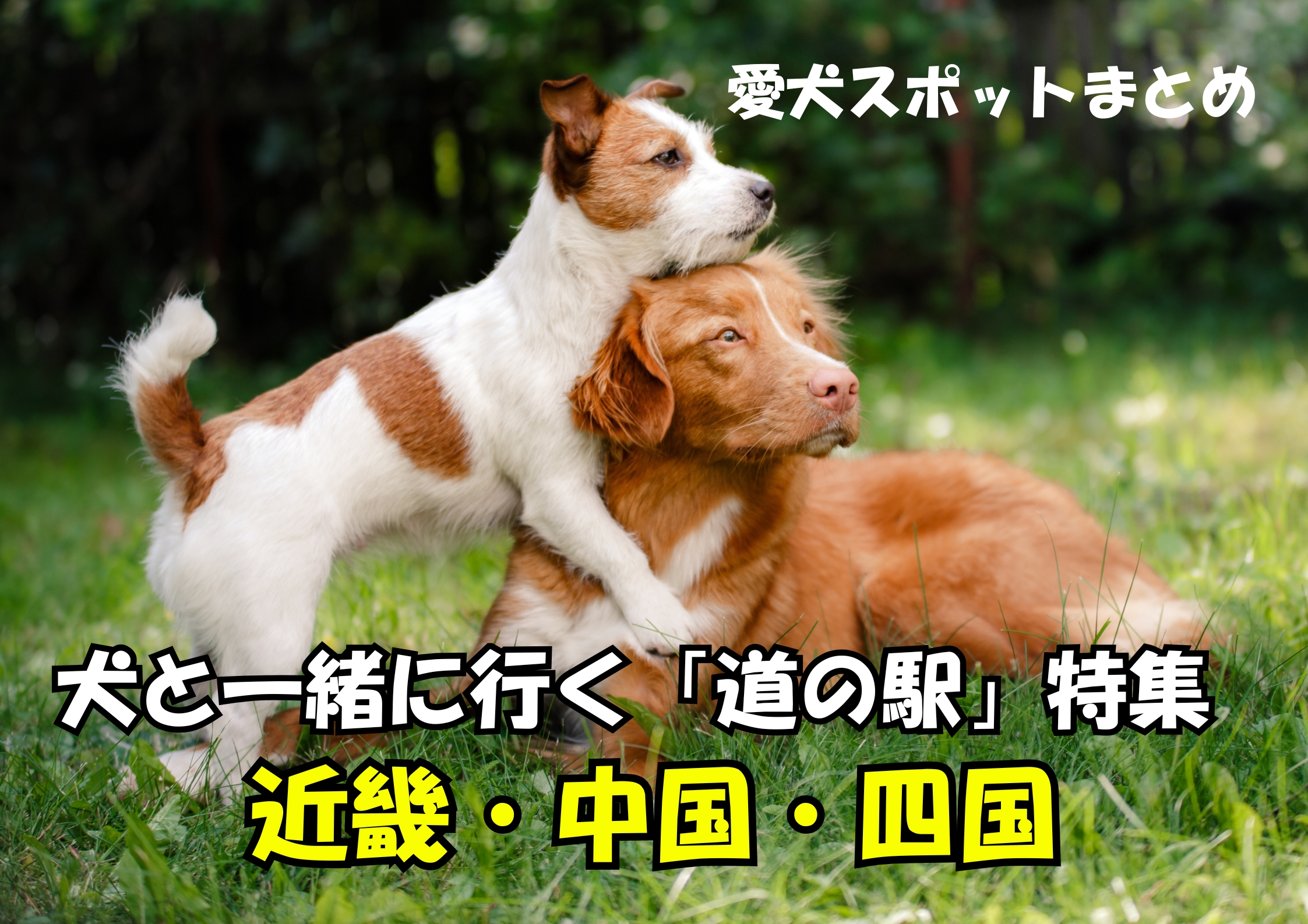 犬と一緒に行く道の駅特集|近畿・中国・四国