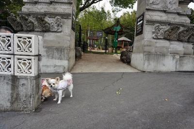 愛犬の駅