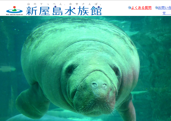 【四国】愛犬と水辺のおでかけスポット〜西日本編 part5〜