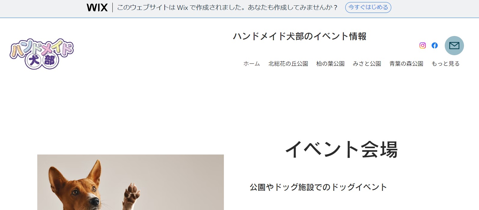 柏の葉公園 DogFesta2026