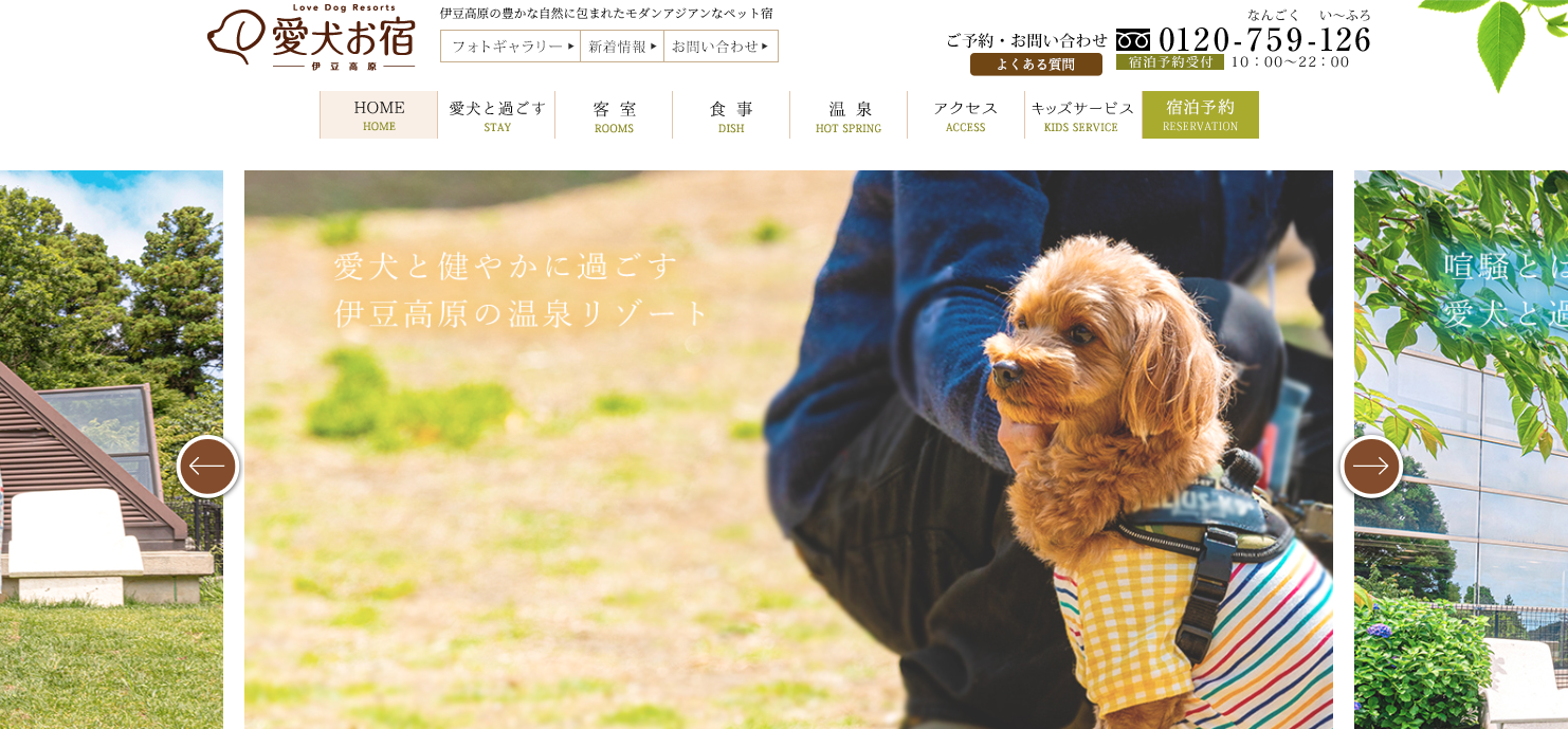 犬と入れる温泉・銭湯・岩盤浴特集