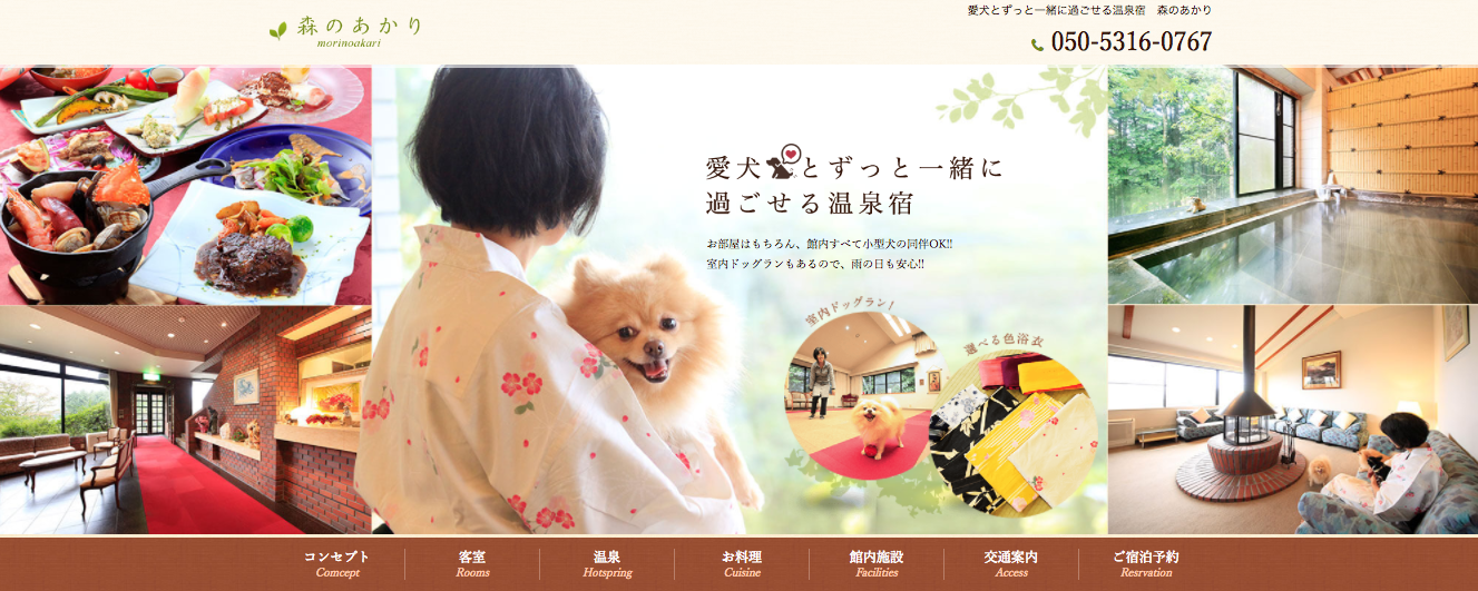 箱根・愛犬スポット