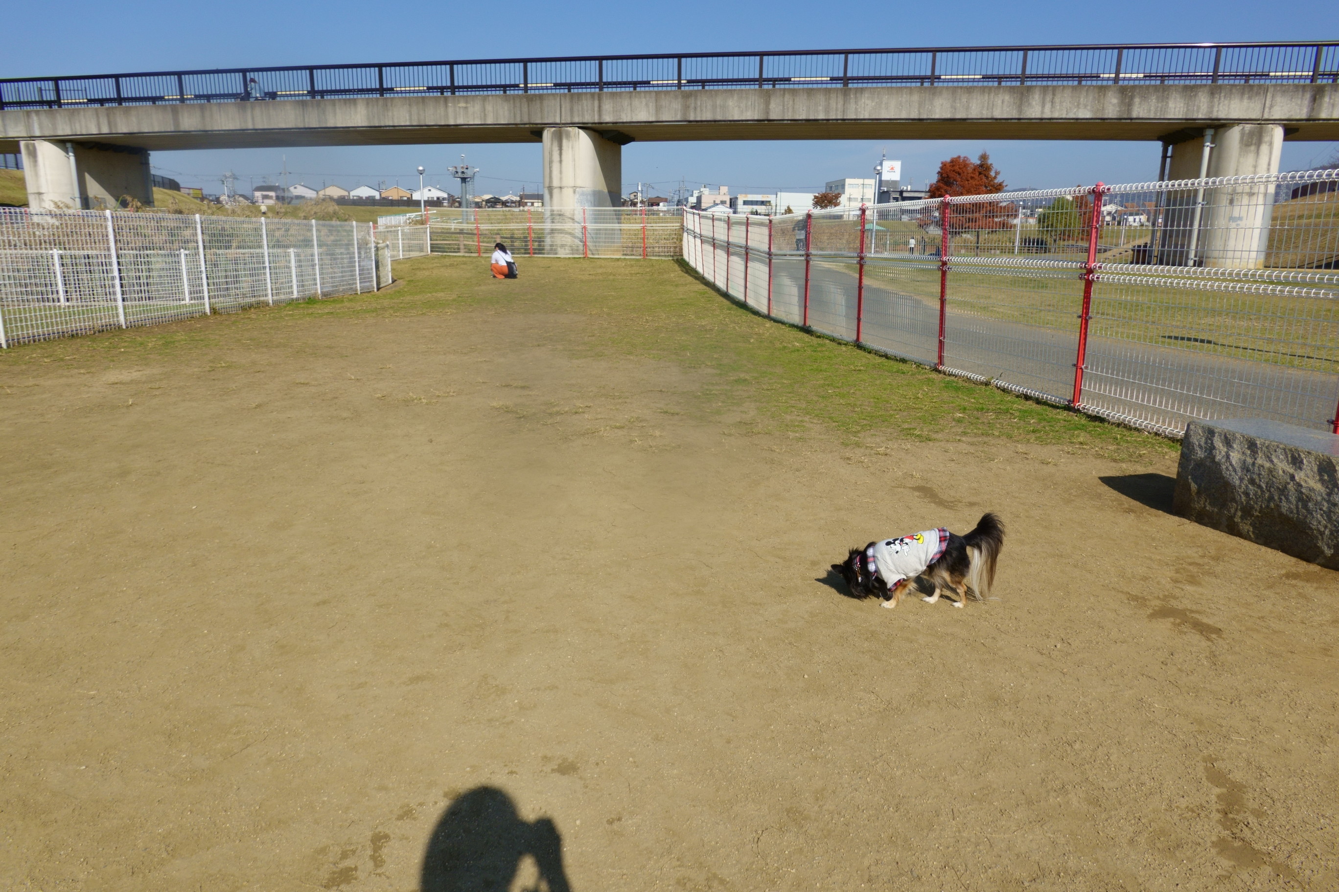 花園中央公園ドッグラン