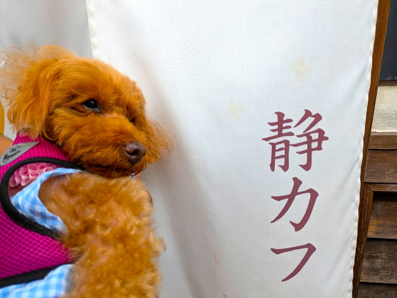 古民家静カフェ