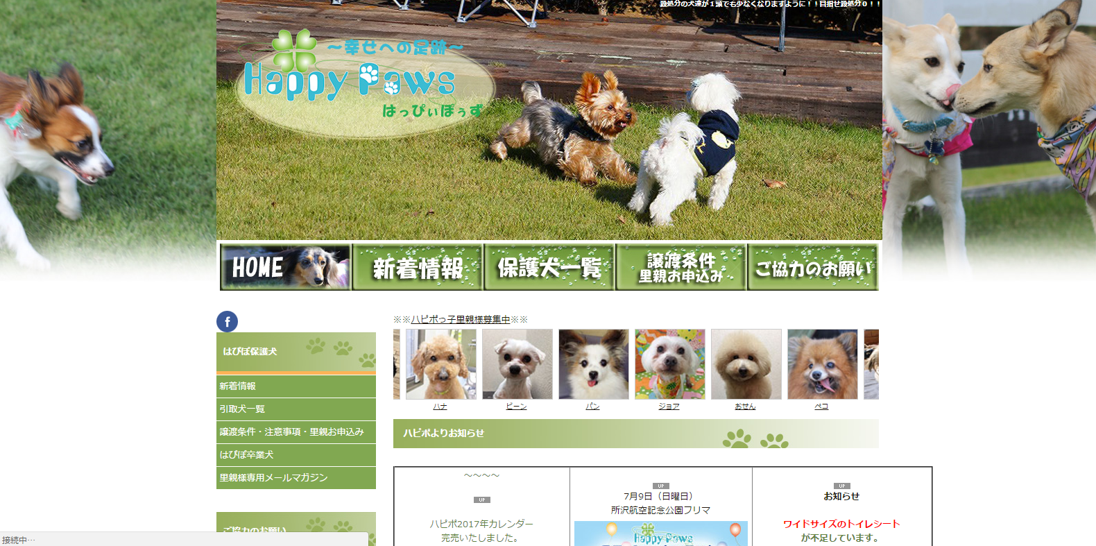 千葉 埼玉版 保護犬譲渡会と里親探しサイトまとめ ペットと一緒