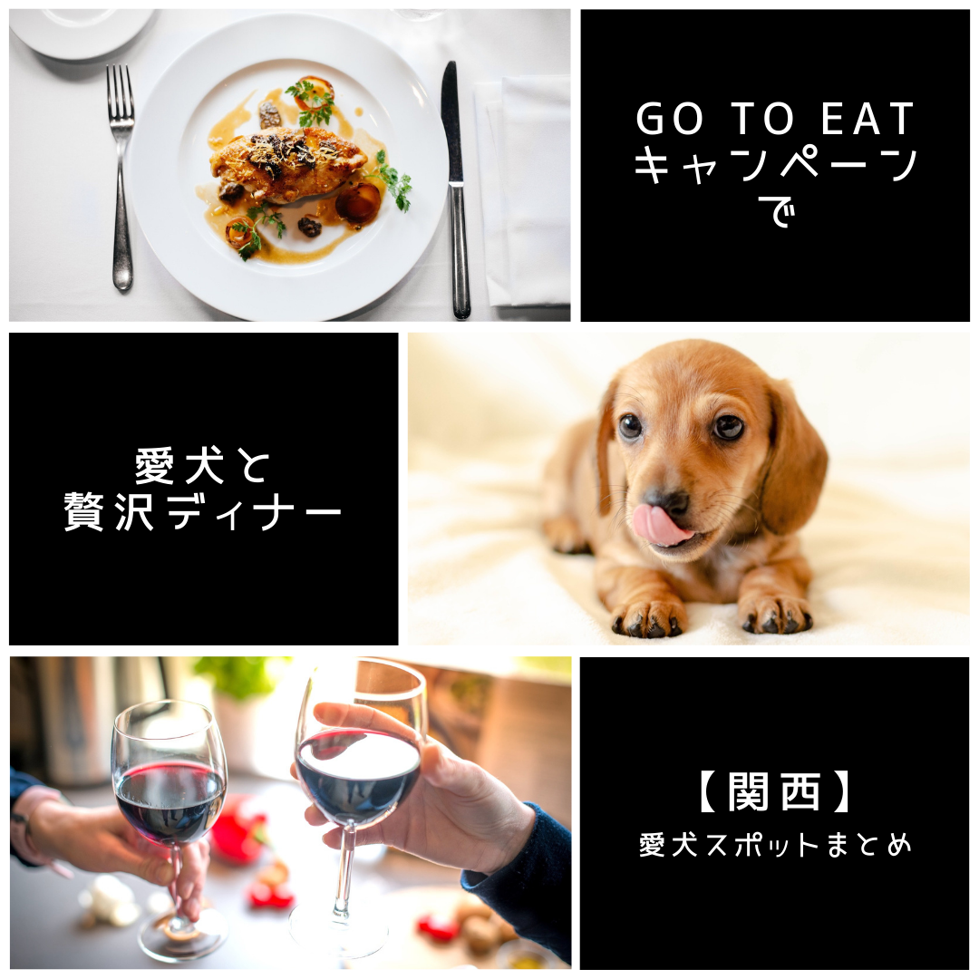 【関西】Go To Eatキャンペーンで愛犬と贅沢ディナー