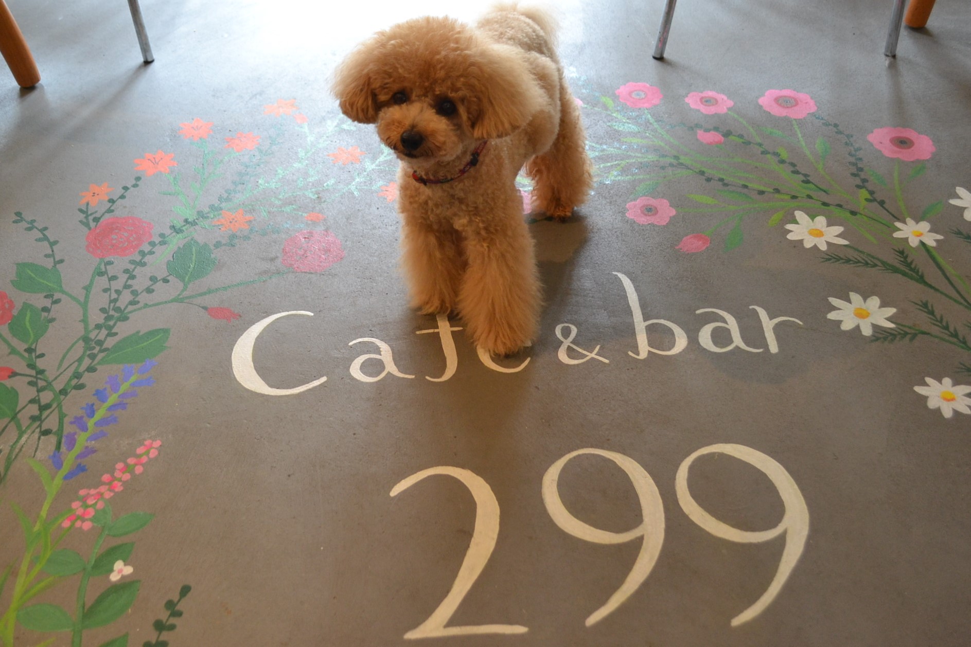 覚王山駅 みんなが集える憩いのドッグカフェ Cafebar299 カフェバー ニクキュウ 店内犬同伴可 愛知県名古屋市 ペットと一緒