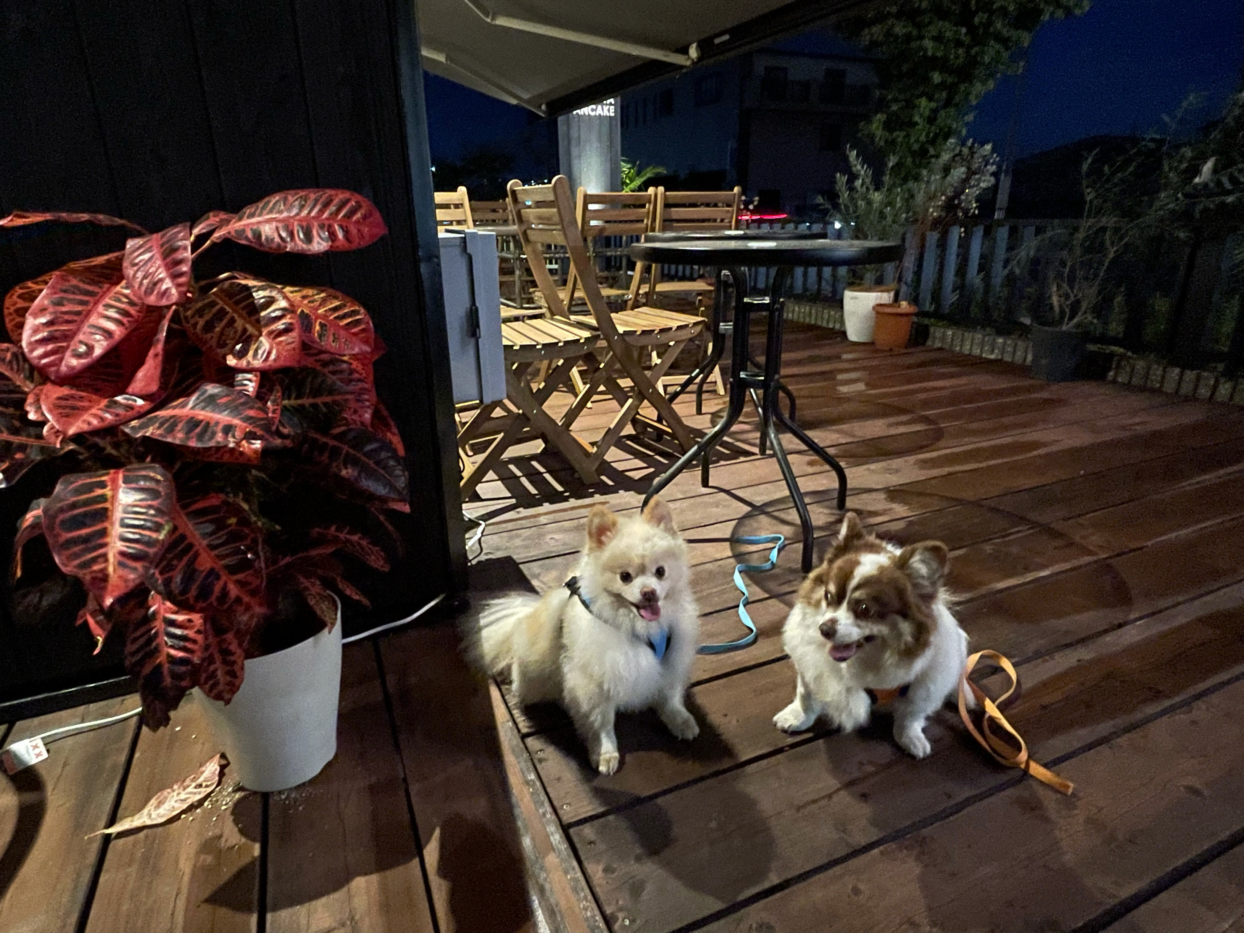 カフェニコラ 明石うみかぜテラス店