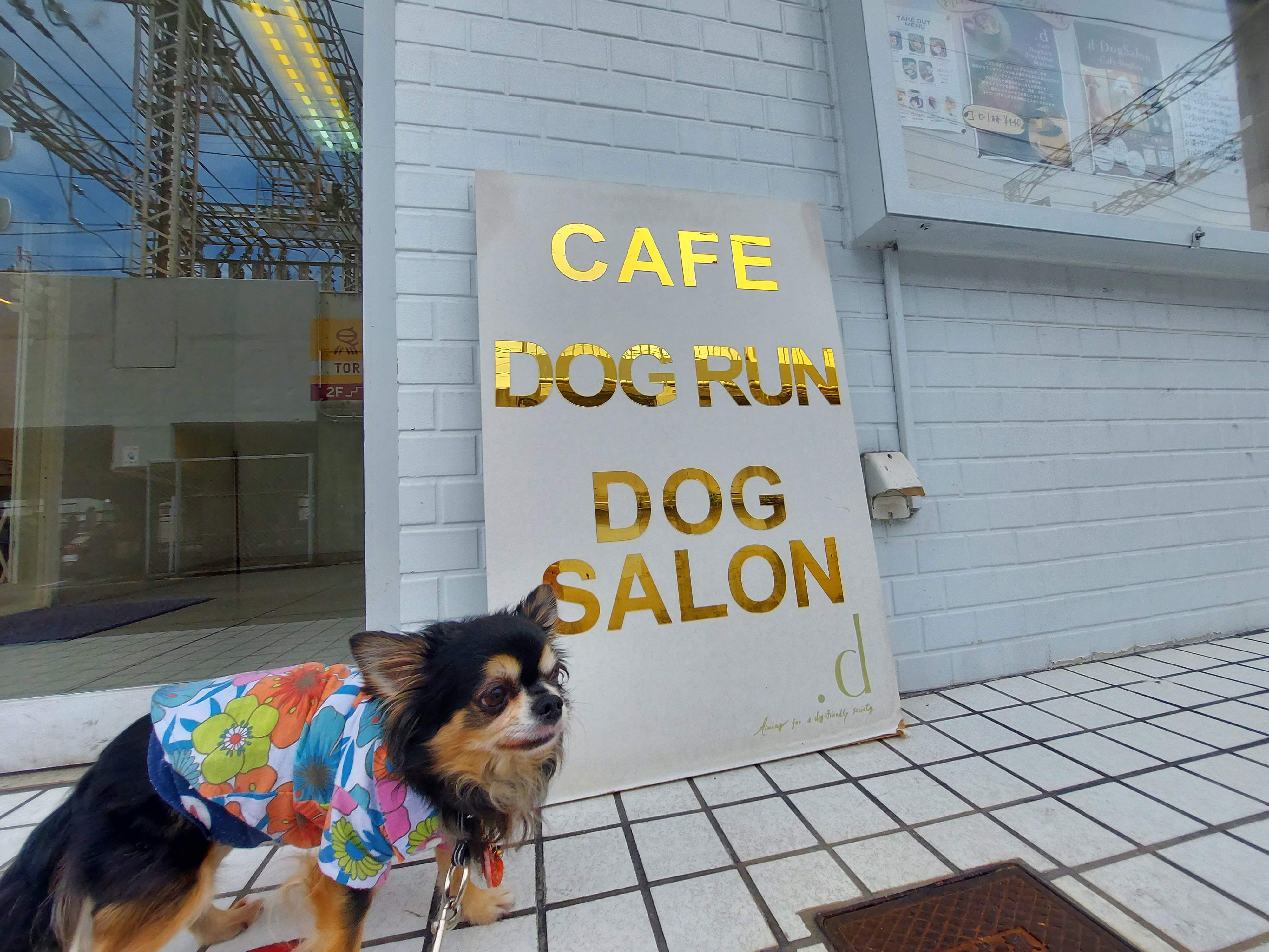 .d Cafe(ドットディーカフェ)