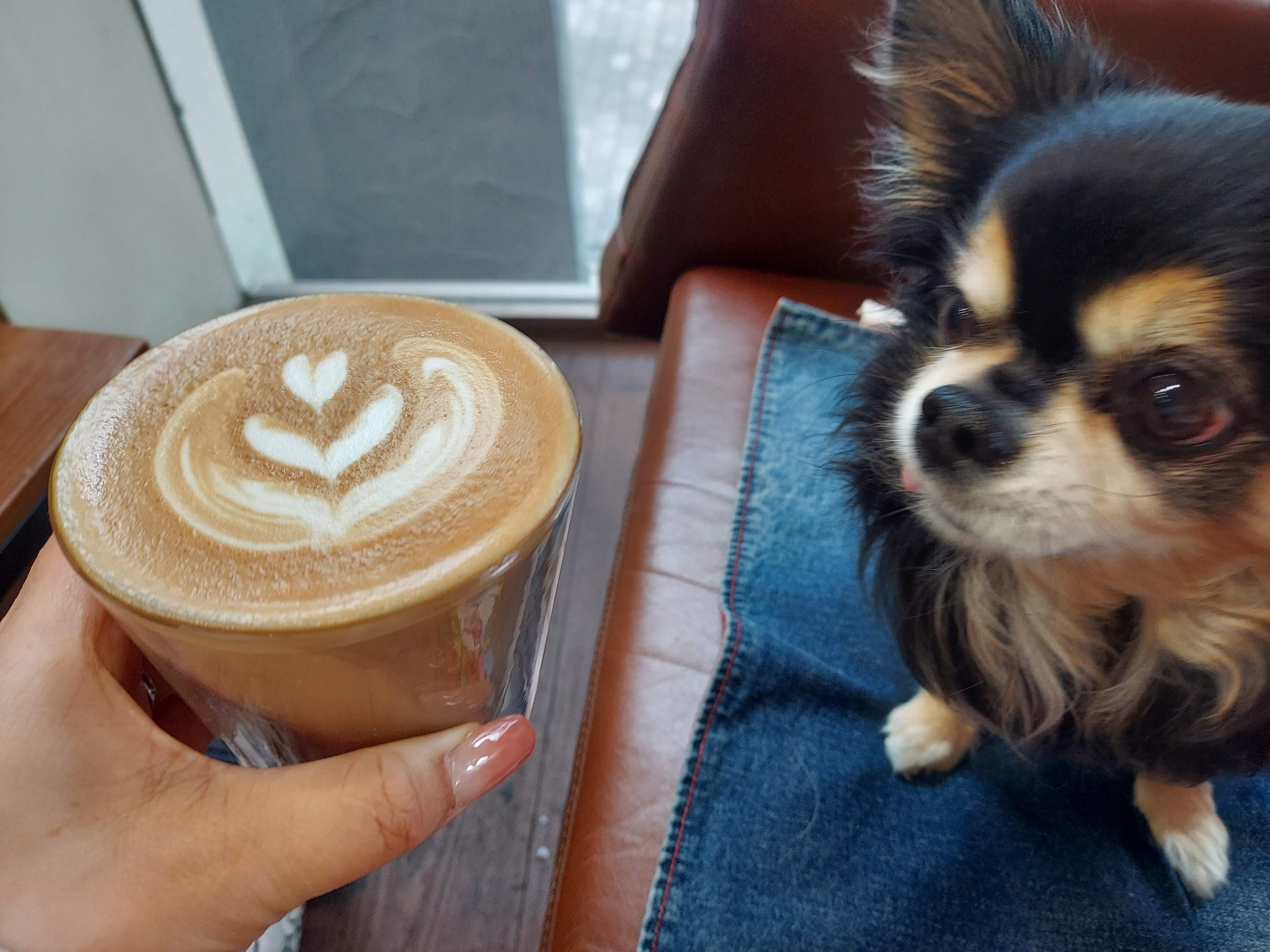 X.COFFEE（バイドットコーヒー）