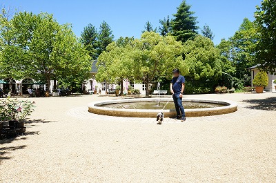 河津バガテル公園