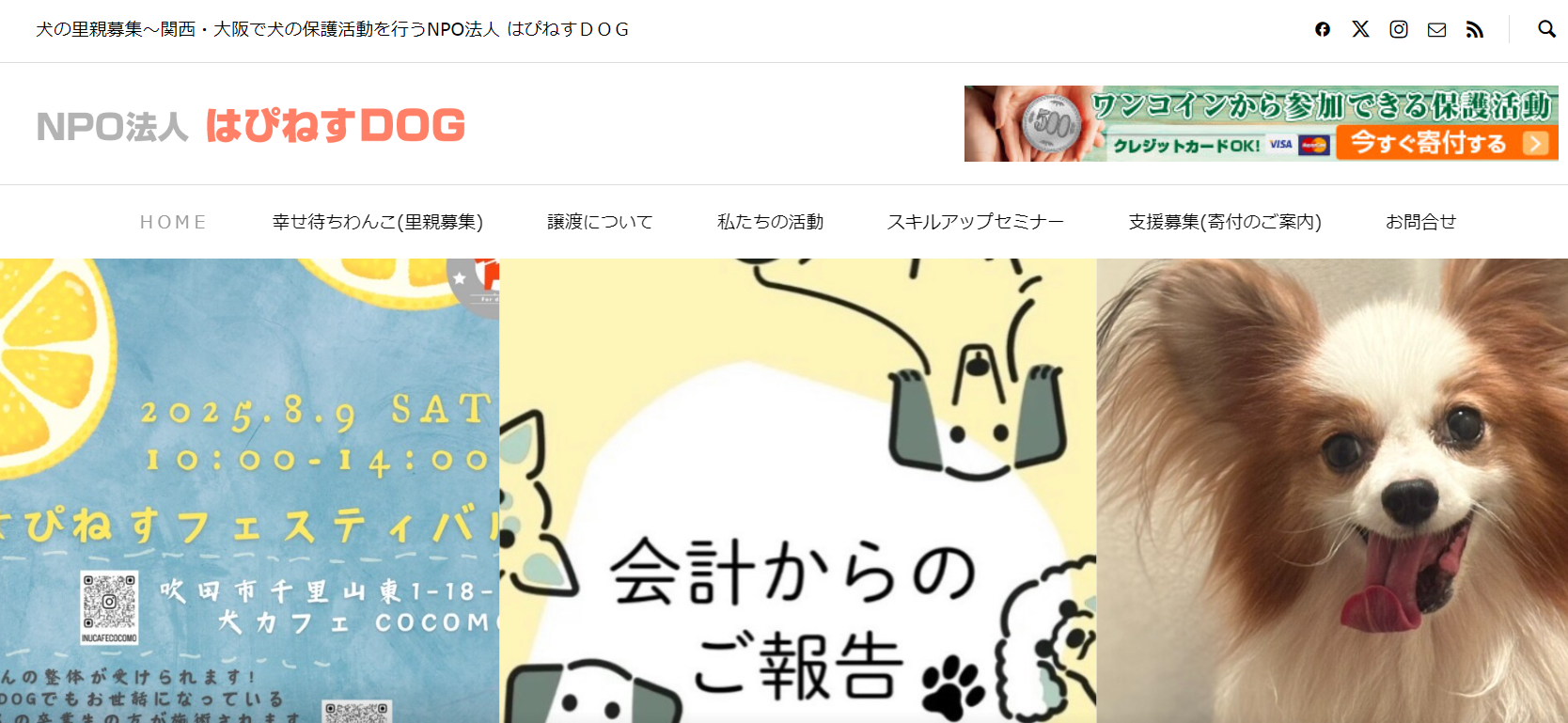 プロトリマーが教える自宅でできる！愛犬の基本ケア講座