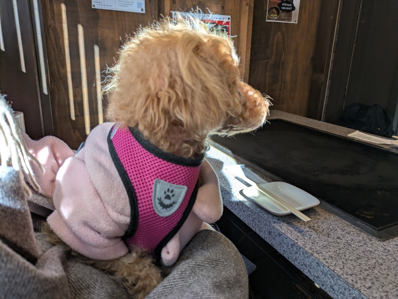 もんじゃつづみ