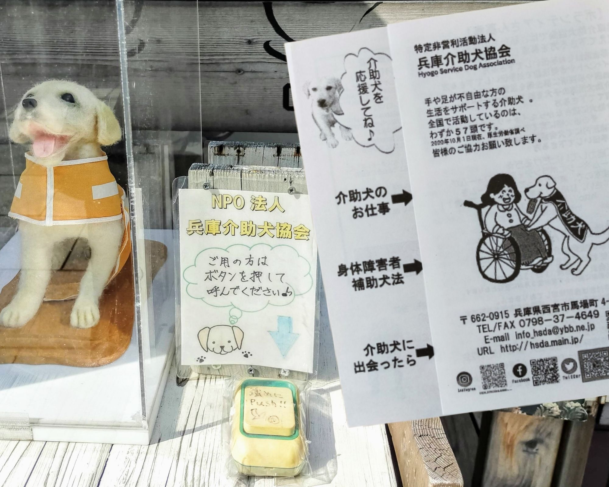 【西宮駅】元介助犬のオズ君がのんびりしていてほっこりできるカフェ「leozcafe　れおずかふぇ」店内ペット同伴可【兵庫県・西宮市】