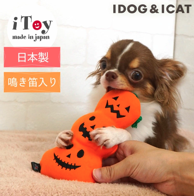 「愛犬とおうちでハロウィンを楽しもう!」ペットと一緒編集部