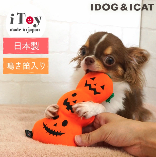 「愛犬とおうちでハロウィンを楽しもう！」ペットと一緒編集部