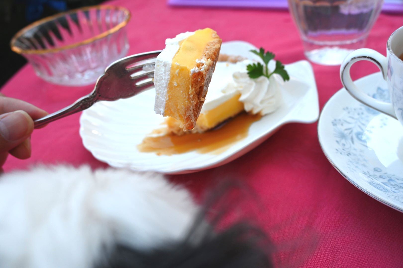 Bouche\'s Cafe\'(ブーシーズ カフェ)