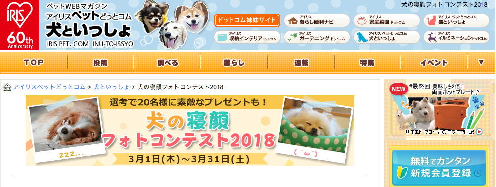 犬の寝顔フォトコンテスト