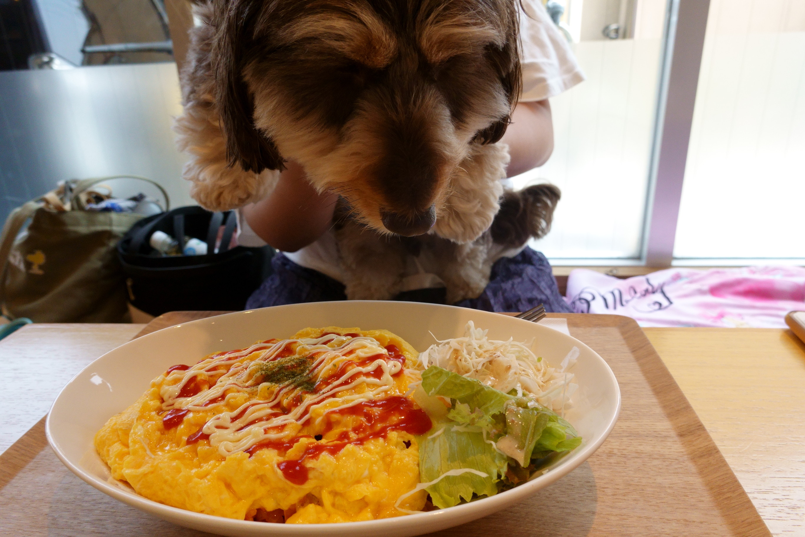 DogCafe ALAN（ドッグカフェ アラン）